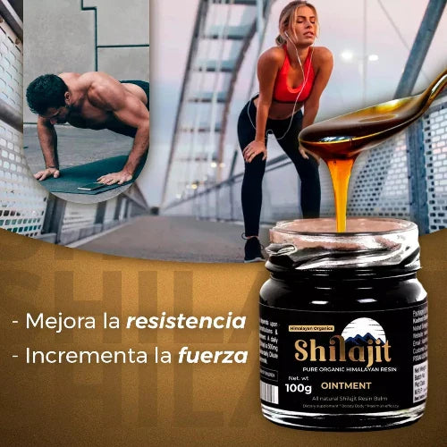 SHILAJIT energia del Himalaya en su forma más pura